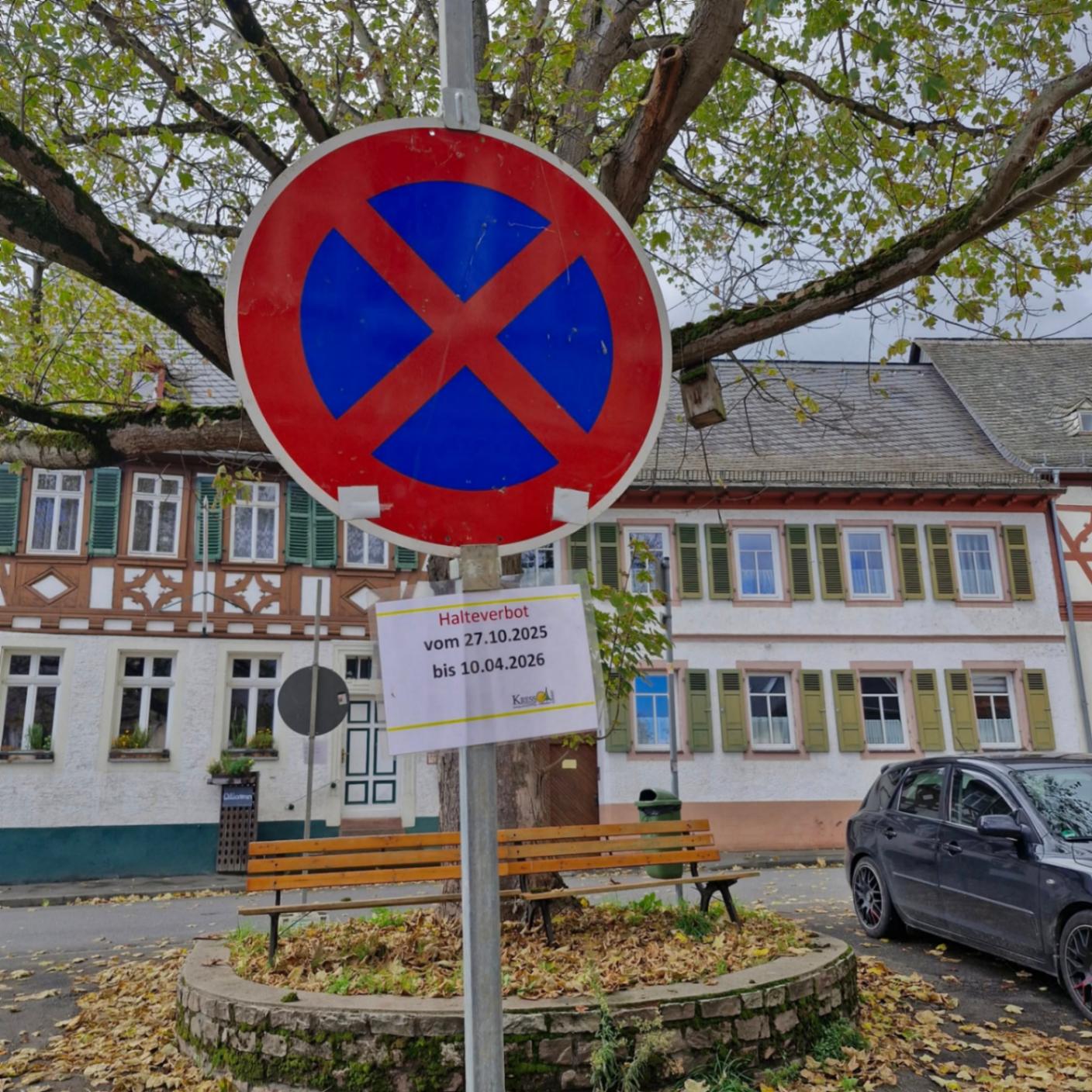 Medieninhalt - Feld 1