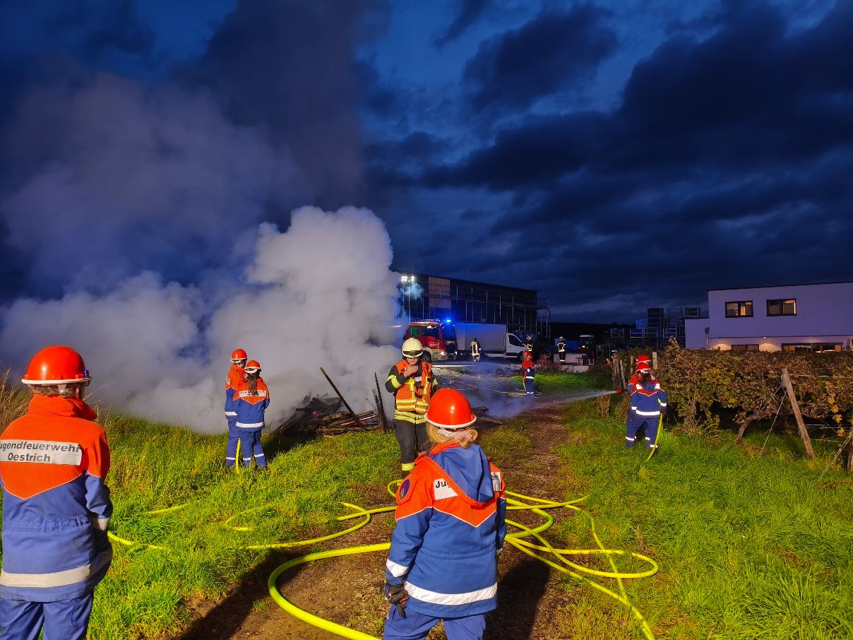 Medieninhalt - Feld 1