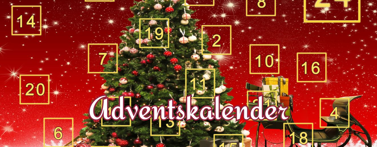 Medieninhalt - Feld 1