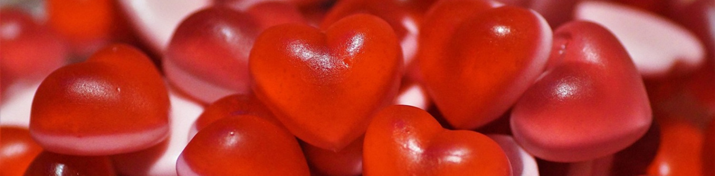 Medieninhalt - Feld 1