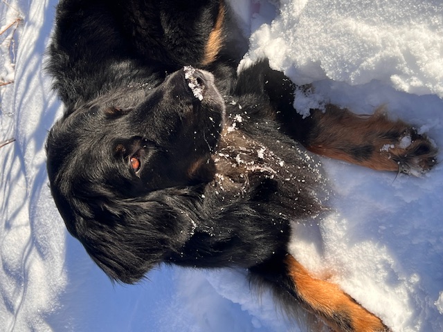 Medieninhalt - Feld 2