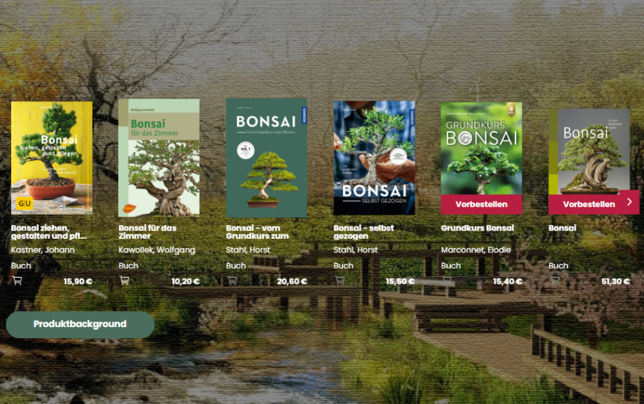 Medieninhalt - Feld 2