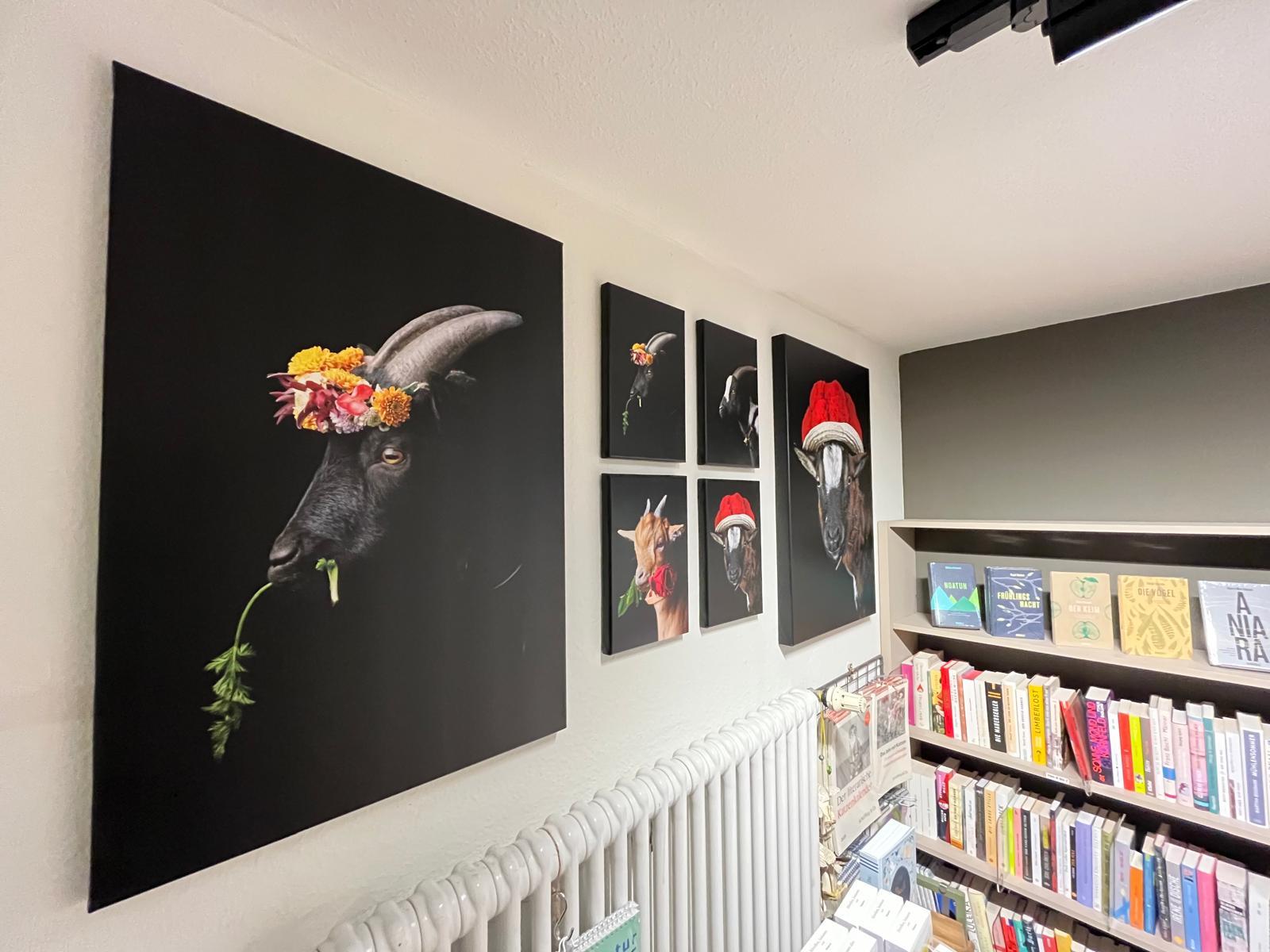 Medieninhalt - Feld 2