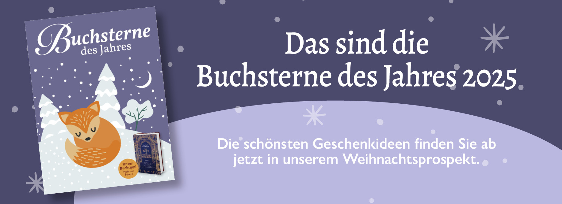 Medieninhalt - Feld 1