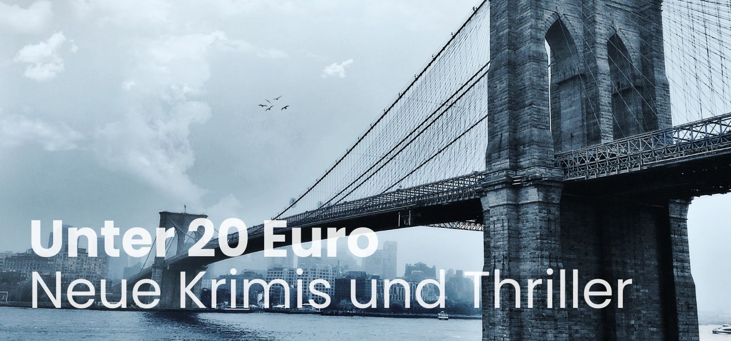 Medieninhalt - Feld 1