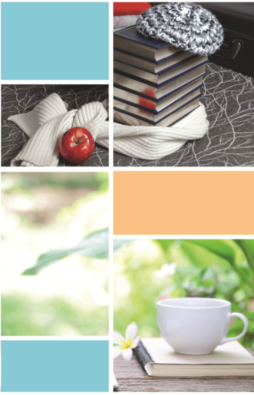 Medieninhalt - Feld 2